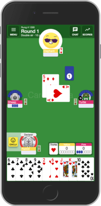 Play Popular Card Games Online on India's Multiple Card Gaming